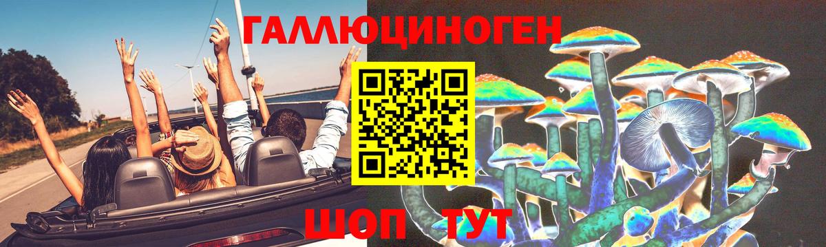 Галлюциногенные грибы GOLDEN TEACHER Кирово-Чепецк