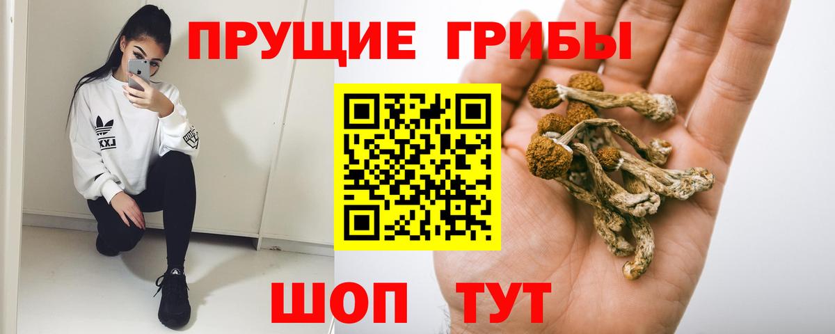 Кирово-Чепецк  Галлюциногенные грибы мицелий  Вход с VPN 